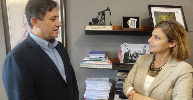 HDP’nin esas hakkındaki savunmasında neler var