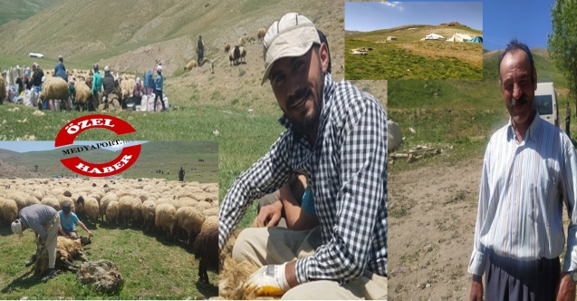 Koçerlik bitiyor, Koçerler yaylalarını ve hayvanlarını terk ediyor!
