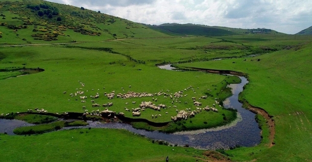Perşembe Yaylası, madencilere tahsis edildi